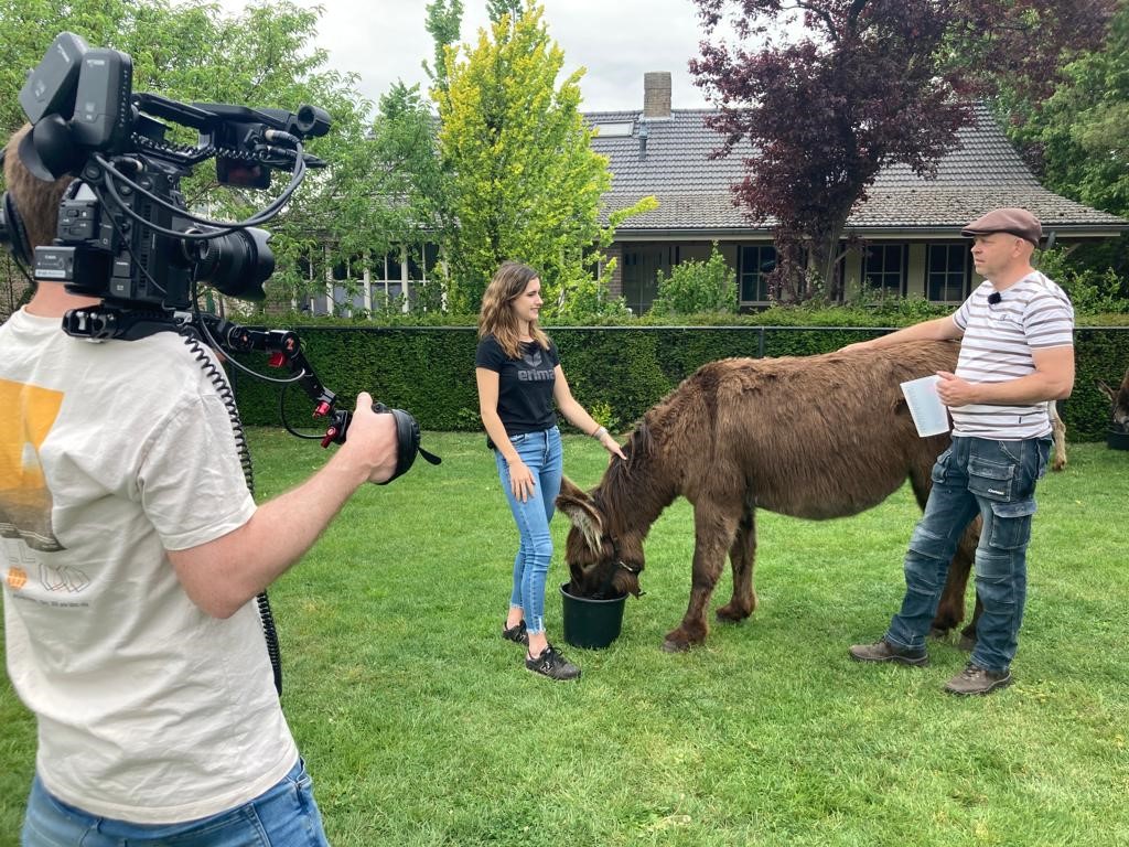 LimburgGezondTV te gast bij enige ezelmelkerij van Nederland